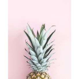 Painokuva Art Link Pineapple 40 x 50 cm