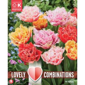 Syyskukkasipuli Combi Tulppaani Double Crispa Mix 15 kpl