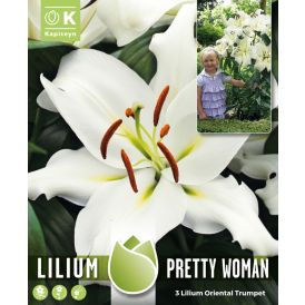 Kevätkukkasipuli Kapiteyn Lilja Pretty Woman 3 kpl