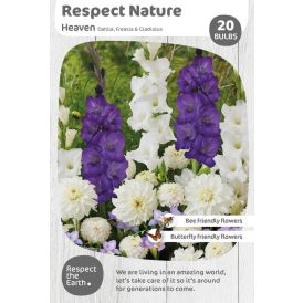 Kevätkukkasipuli Kapiteyn Respect Nature Heaven 20 kpl