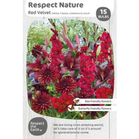 Kevätkukkasipuli Kapiteyn Respect Nature Red Velvet 15 kpl