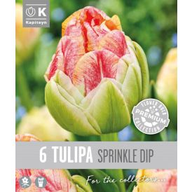 Syyskukkasipuli Kapiteyn Tulppaani Double Late Sprinkle 6 kpl