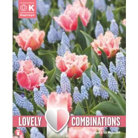 Syyskukkasipuli Kapiteyn Combinations Tulppaani Rose Red ja Helmililja 20 kpl