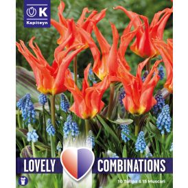 Syyskukkasipuli Kapiteyn Combinations Tulppaani ja Helmililja 25 kpl