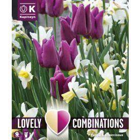 Syyskukkasipuli Kapiteyn Combinations Tulppaani Purple ja Narsissi 15 kpl