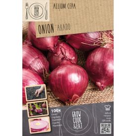 Sipuli Kapiteyn Akado 100 kpl