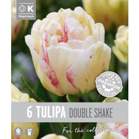 Syyskukkasipuli Kapiteyn Tulppaani Double Late 6 kpl