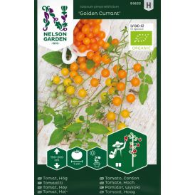 Viinimarjatomaatti Nelson Garden Golden Currant Luomu