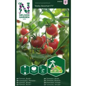Pensastomaatti Nelson Garden Baby Boomer