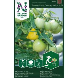 Kirsikkatomaatti Nelson Garden Funnyplums Creamy Yellow
