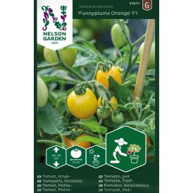 Kirsikkatomaatti Nelson Garden Funnyplums Orange