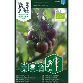 Kirsikkatomaatti Nelson Garden Black Cherry Luomu