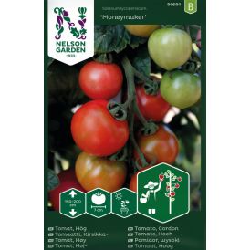 Kasvihuonetomaatti Nelson Garden Moneymaker
