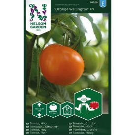 Pihvitomaatti Nelson Garden Orange Wellington