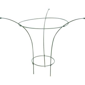 Kasvituki Pioni 90 cm