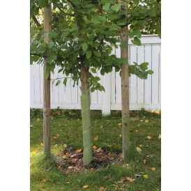 Rungonsuoja biohajoava 60 cm 4 kpl