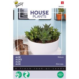 Aloesekoitus Buzzy House Plants