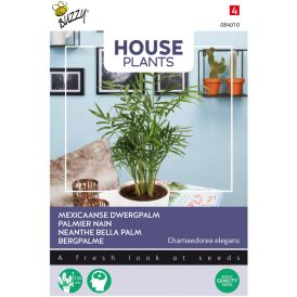 Sirovuoripalmu Buzzy House Plants