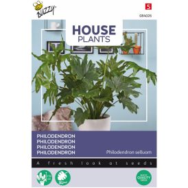 Peikonkämmen Buzzy House Plants
