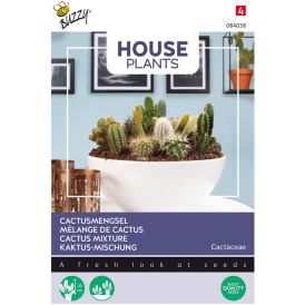 Kaktussekoitus Buzzy House Plants