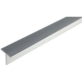 T-lista Dione 20 x 20 x 1,5 mm hopea-anodisoitu 2 m