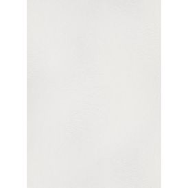 Kuitutapetti Erismann Envogue Wiper 10403-01 valkoinen