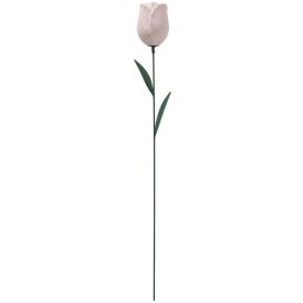 Puutarhakoriste tulppaani 66 cm lajitelma