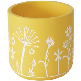 Suojaruukku Honey 16 cm lajitelma