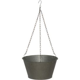 Sinkkiamppeli 30 cm