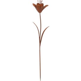 Puutarhakoriste kukka 85 cm