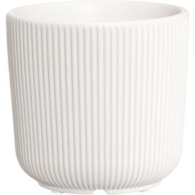 Suojaruukku Eliza 15 cm lajitelma