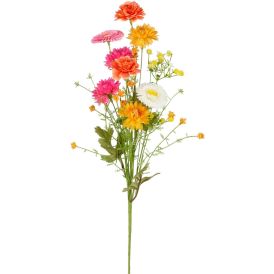 Silkkikasvi päivänkakkara 60 cm lajitelma