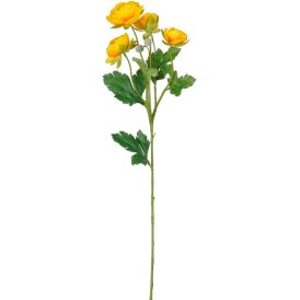 Silkkikasvi Leinikki 62 cm keltainen