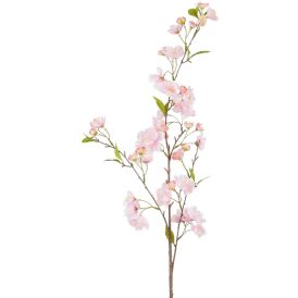 Silkkikasvi Kirsikanoksa 99 cm vaaleanpunainen