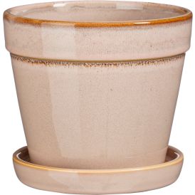 Suojaruukku Clint aluslautasella 15 cm