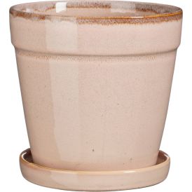 Suojaruukku Clint aluslautasella 17 cm