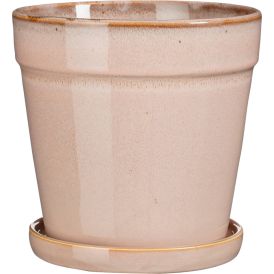Suojaruukku Clint aluslautasella 20 cm