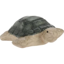 Puutarhakoriste kilpikonna 5 cm lajitelma