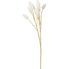 Koristeoksa talvikukka 70 cm lajitelma
