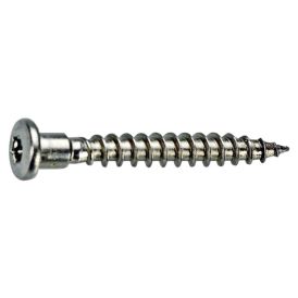 Naulauslevyruuvi Fix Master 4,8X40 C4 TX20 250 kpl