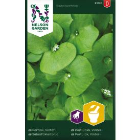 Salaattikleitonia Claytonia Perfoliata