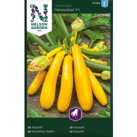 Kesäkurpitsa Yellowstar