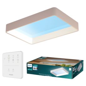LED-paneelivalaisin Philips Skylight valkoinen 65,3 x 45,3 cm
