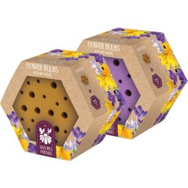 Pölyttäjätalo Kapiteyn krookus Mix 15 kpl