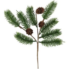 Koristeoksa havu kävyillä 30 cm