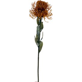 Tekokasvi Bloom Deco Protea lajitelma
