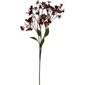 Tekokasvi Bloom Deco Lehtokukka lajitelma