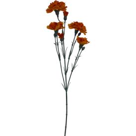 Tekokasvi Bloom Deco Neilikka lajitelma