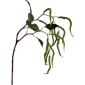 Tekokasvi Bloom Deco Amarantti vihreä
