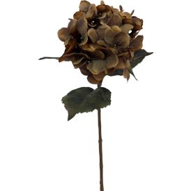 Tekokasvi Bloom Deco Hortensia ruskea